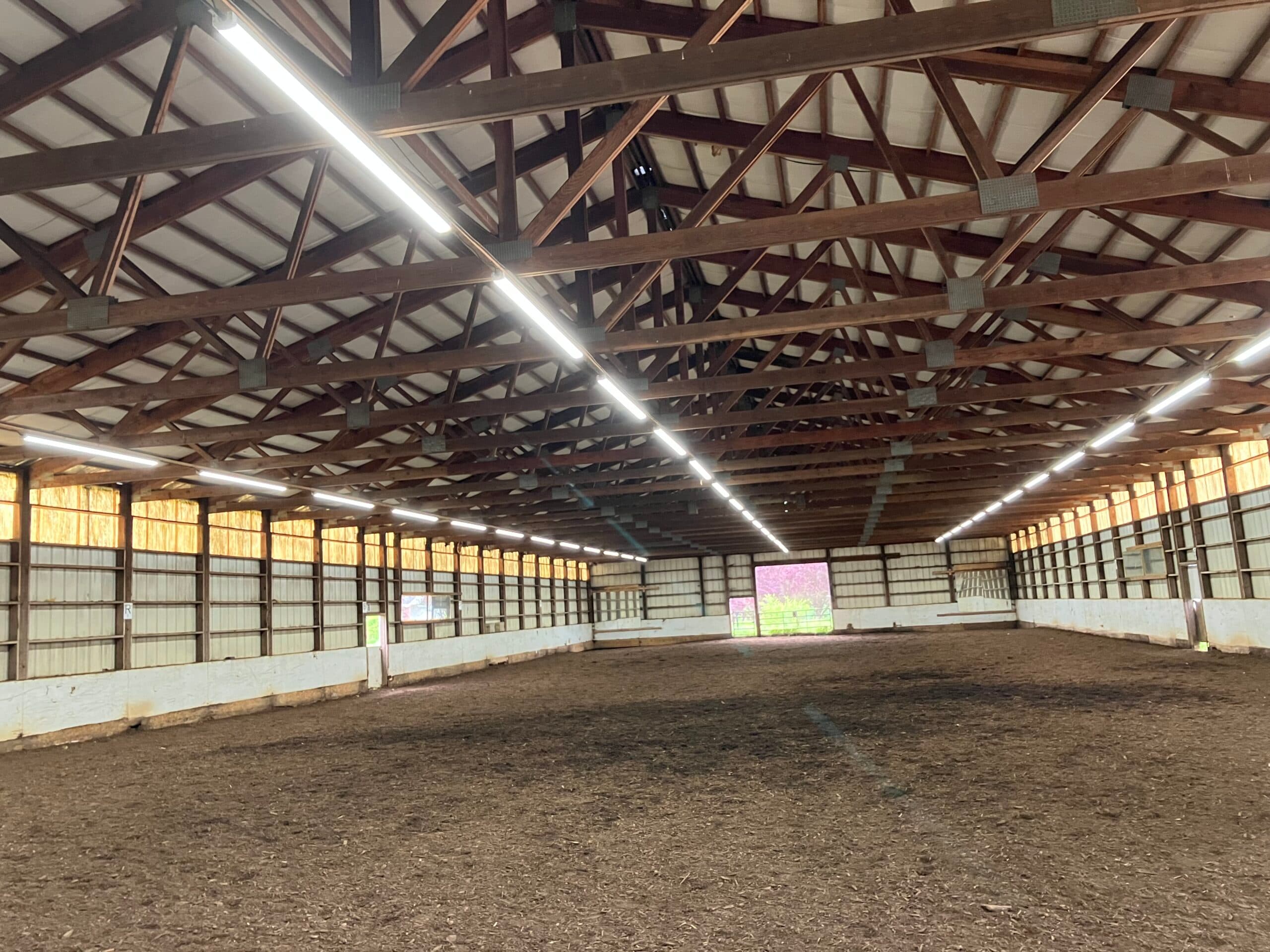 Rows of linear LED fixtures mounted to the timber trusses of a covered riding arena